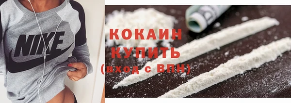 мдпв Елабуга