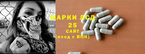 мдпв Елабуга