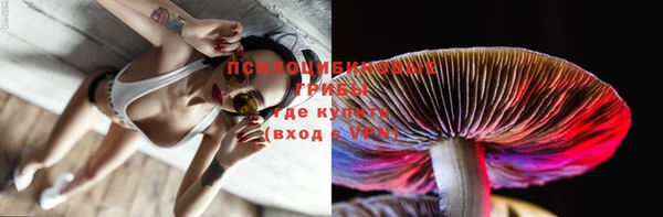 кокаин премиум Ельня