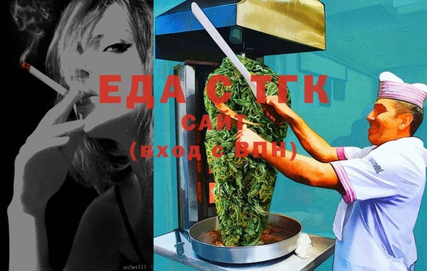 мдпв Елабуга