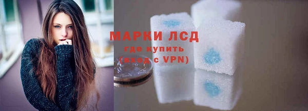 мдпв Елабуга