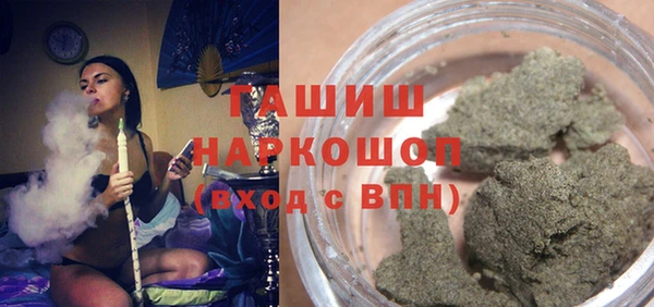 мдпв Елабуга